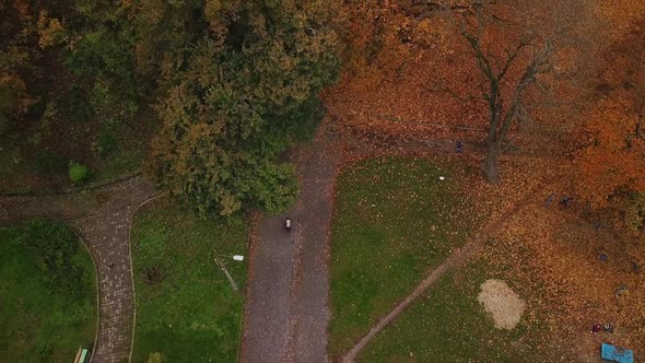 A Cyclist Rides Through an Autumn Park with Colored Foliage Top View the Camera Follows Him