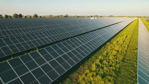 Aerial View of Solar Farm on the Green Field at Sunset Time Solar Panels in Row