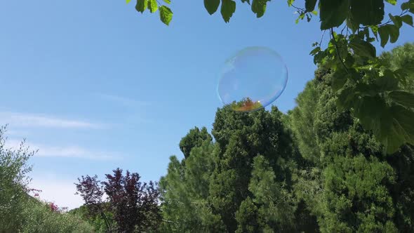 A soap bubble among the leaves flies to the sky