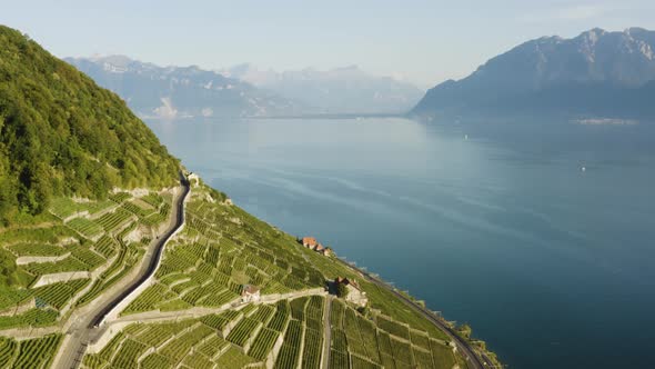 Flying high above steepest part of Lavaux and Lake LémanThe Alps in the backgroundLavaux - Switzer