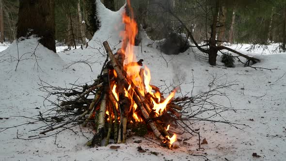 Winter Bonfire