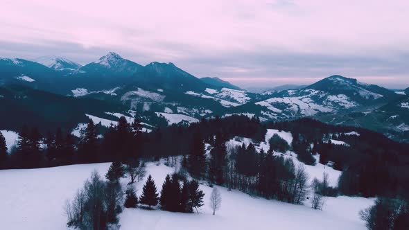 Aerial Shot of Winter Landscape