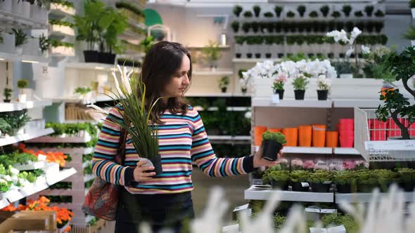 Young Woman Shopping for Plants for Her Home