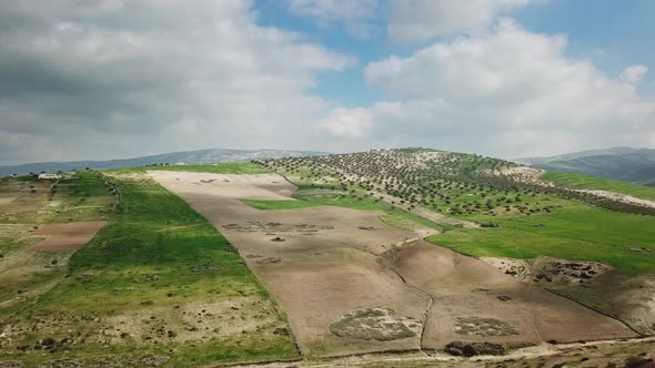 Hilly Agricultural Fields in Morocco , Africa