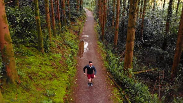 Man jogging on a pathway in forest 4k