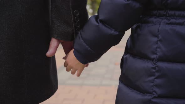 Close-up of a Mature Male Caucasian Hand Taking Child's Palm