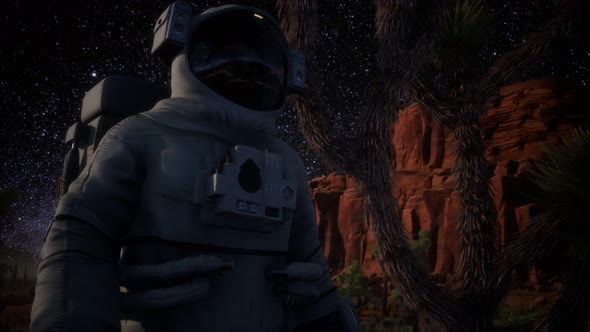 Astronaut and Star Milky Way Formation in Death Valley alt