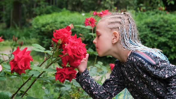 Little Girl Smells Fragrant Rosebush in a Park