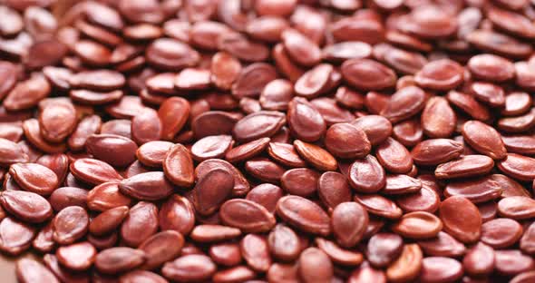 Red melon seed