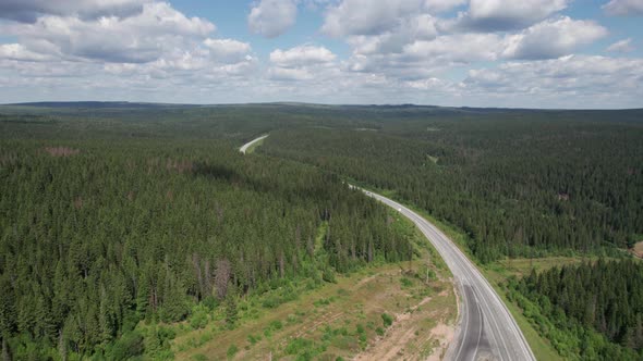 Aerial View of Scenic Road Between Green Trees with Pines on a Sunny Summer Morning