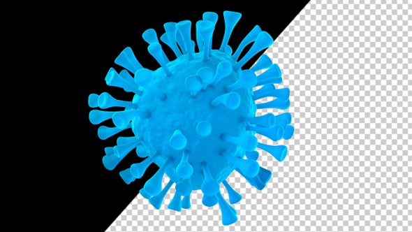 Rotation of COVID-2019 alt