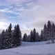Trees the Winter Carpathian Mountains - VideoHive Item for Sale