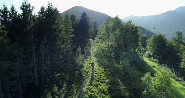Biker Riding Mountain Bike Along Forest Trail Aerial View in Summer Sunny Day