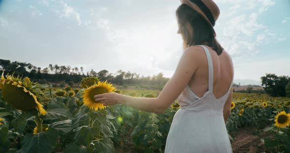 Romantic Woman Stay on Sunflower Field Touching Flower Petals on Summer Vacation