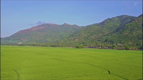 Aerial View Green Rice Field and High Mountains