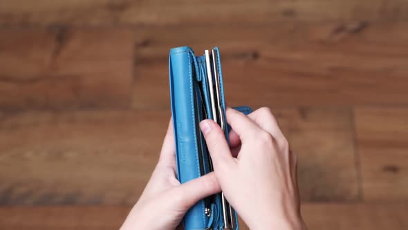 Woman Taking American Dollars From Wallet, Close-up of Hand