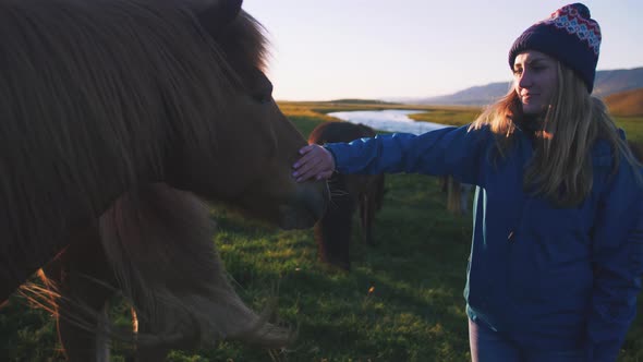 Young Woman Stroking a Horse in Iceland in Sun Light