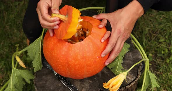 Daughter and Father Hands Cut Pumpkin, Open Lid Before Carving for Halloween