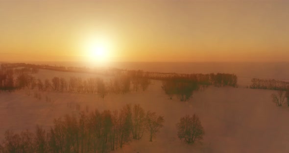 Aerial Drone View of Cold Winter Landscape with Arctic Field Trees Covered with Frost Snow and