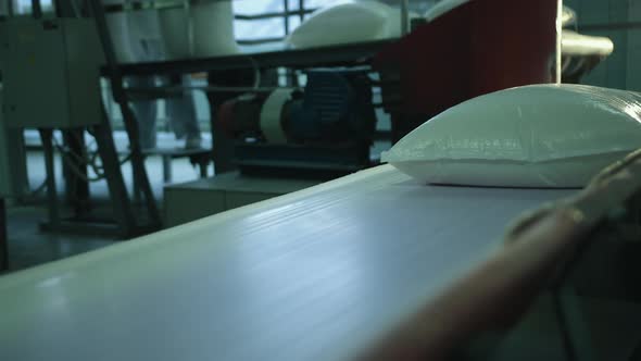 Full Bags Lie on the Conveyor Belt