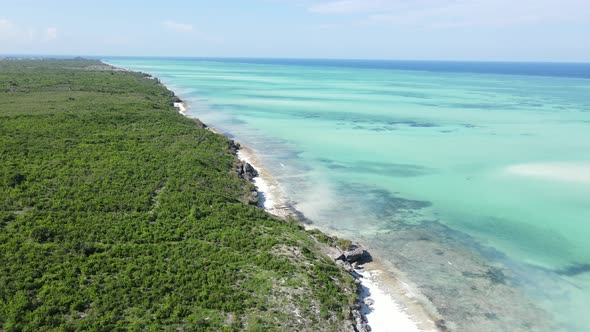 Coast of Zanzibar Island Tanzania Covered with Thickets