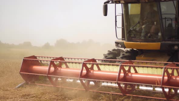 Rotary Straw Walker Combine Harvester Cuts and Threshes Ripe Wheat Grain