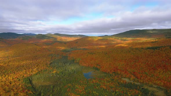 Aerial footage flying to the right high over a small pond in a golden autumn forest with cloud shado