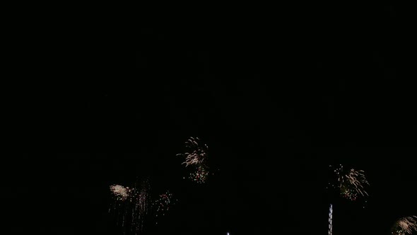 Colorful Firework display at night on sky background