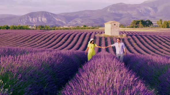 Provence Lavender Field France Valensole Plateau Colorful Field of Lavender Valensole Plateau