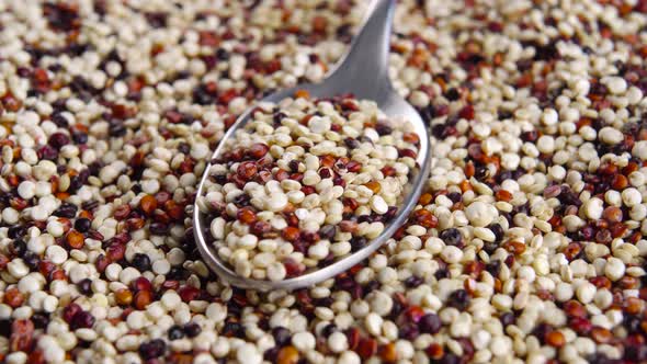 Quinoa uncooked seeds. Full spoon with various grains gluten free. Macro