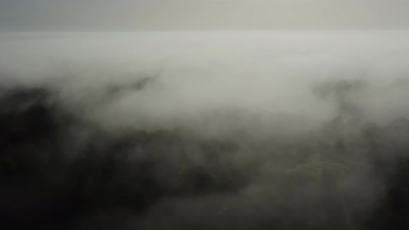 Aerial Drone Shot Flying Above the Clouds in Rainforest, Misty Tropical Jungle Landscape High Up Vie