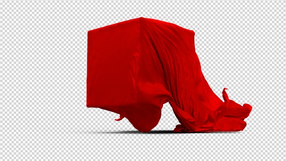 Red Silk Cloth Covering Transparent Box Pack 2 alt