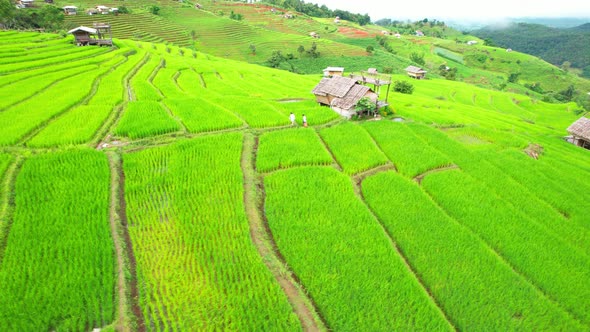 Aerial video of drones flying over rice terraces