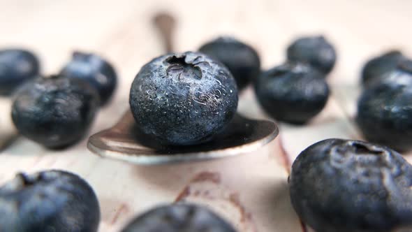 Close Up of Fresh Blue Berry with Water Drops on Spoon 