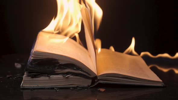 The Book is on Fire