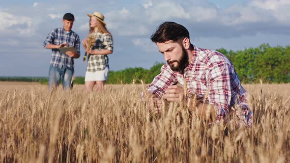 Family Business Concept of Agriculture and Farming