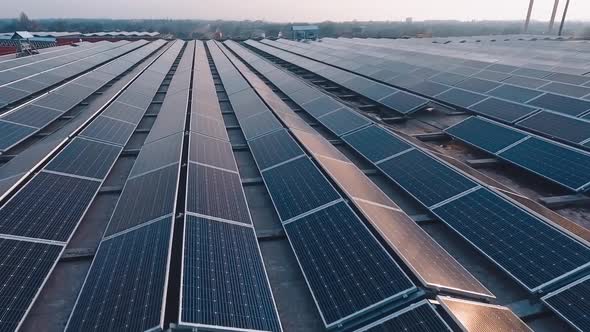 Rows of sunny panels on the roof.