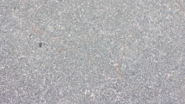 Road Surface Closeup