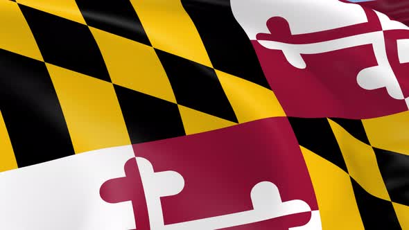 Maryland State Flag