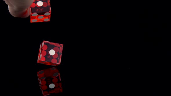 Dice bouncing on black surface, Slow Motion alt