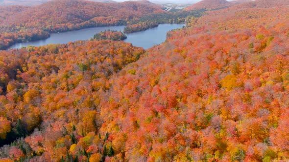 Aerial panoramic view of a lake and fall season foliage colors.