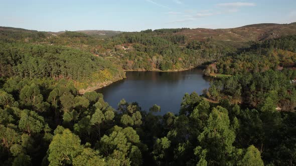 River Forest Aerial View. Nature Landscape