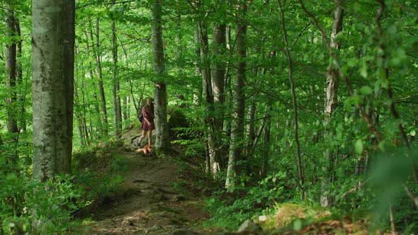 Girl and dog walking into the woods