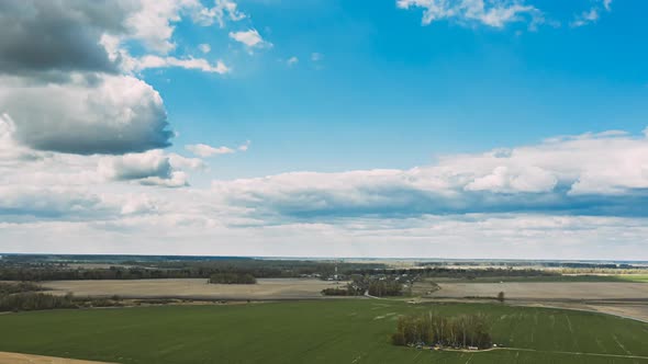 Countryside Rural Field Landscape With Young Wheat Sprouts In Spring Summer Cloudy Day