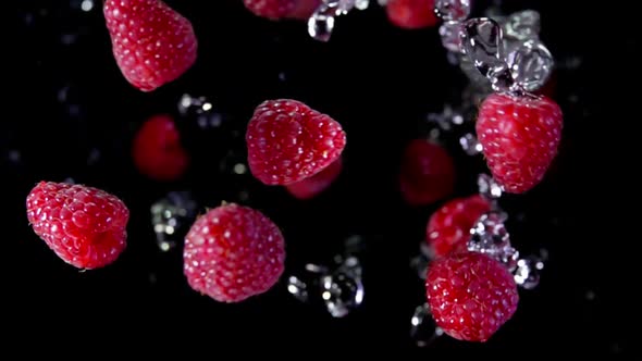 Close Up of Red Ripe Raspberries Bouncing and Rotating with Splashes of Water