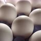 Closer Look of the Big White Eggs on the Tray - VideoHive Item for Sale