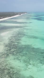 Vertical Video of the Ocean Near the Coast of Zanzibar Tanzania