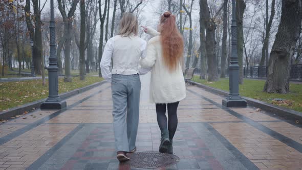 Back View of Young Caucasian Couple Walking Along the Alley in Autumn City Park