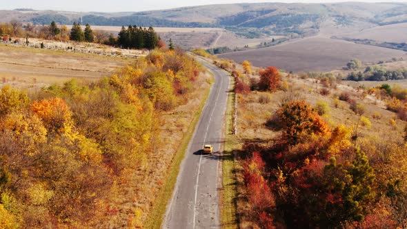 Dolly Zoom Aerial View of Autumn Road Car