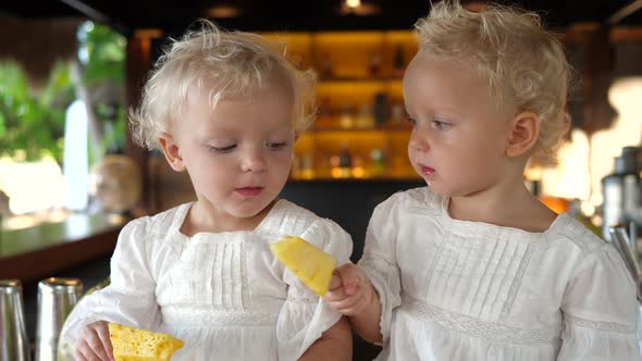 White Twin Toddler Girls Sharing Pineapples on Sticks with Each Other